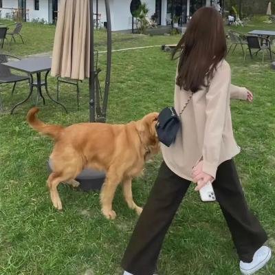 陀枪师姐